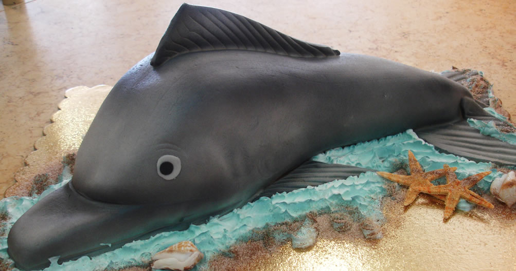 bolo de aniversário tubarão